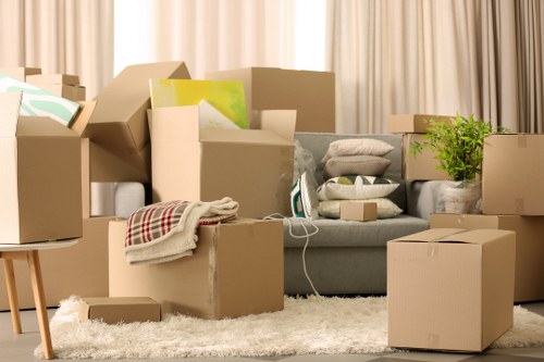 Protective moving equipment and safety-focused removal work